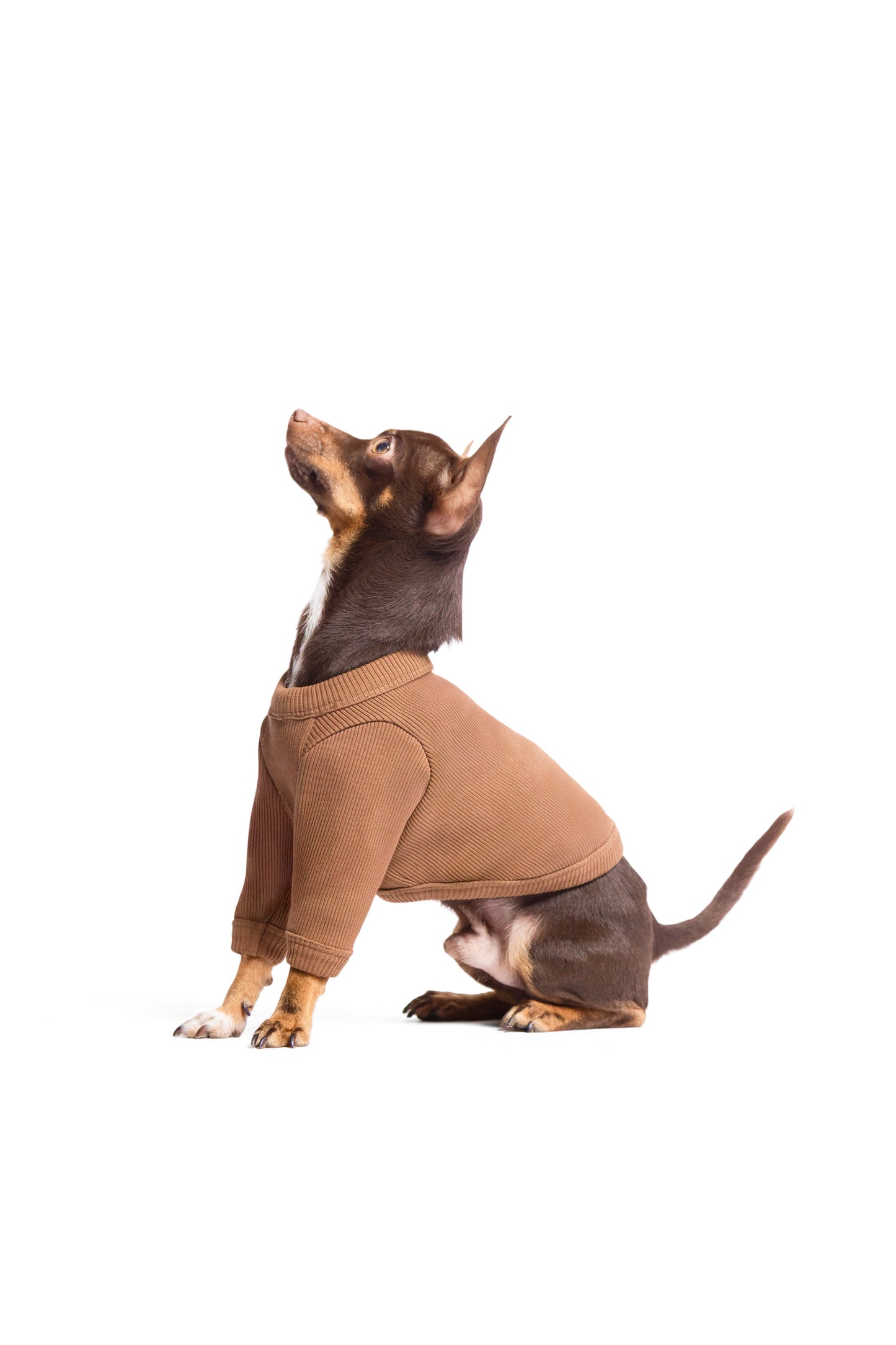 T-shirt manches longues