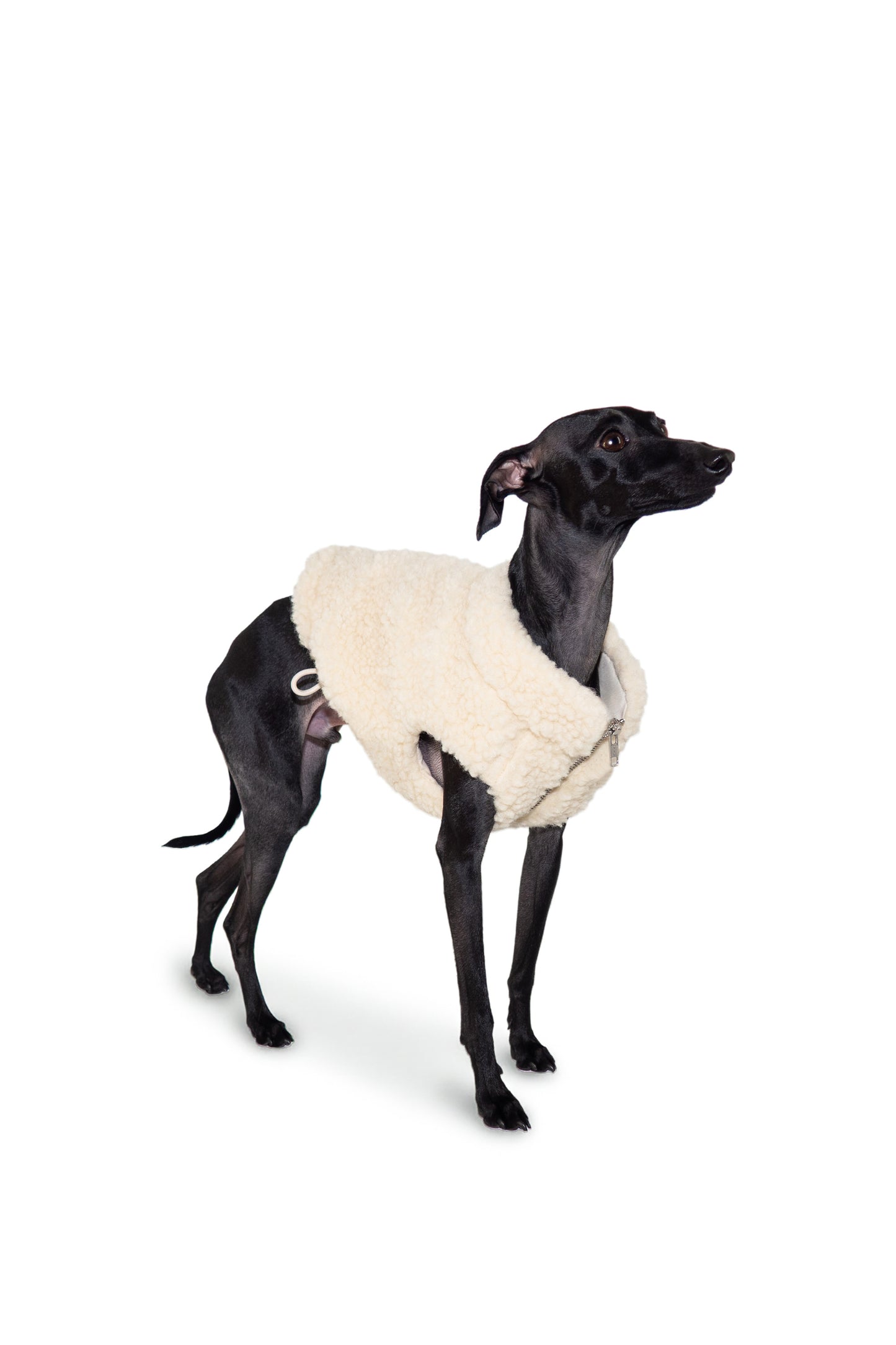 Veste en laine bouclée