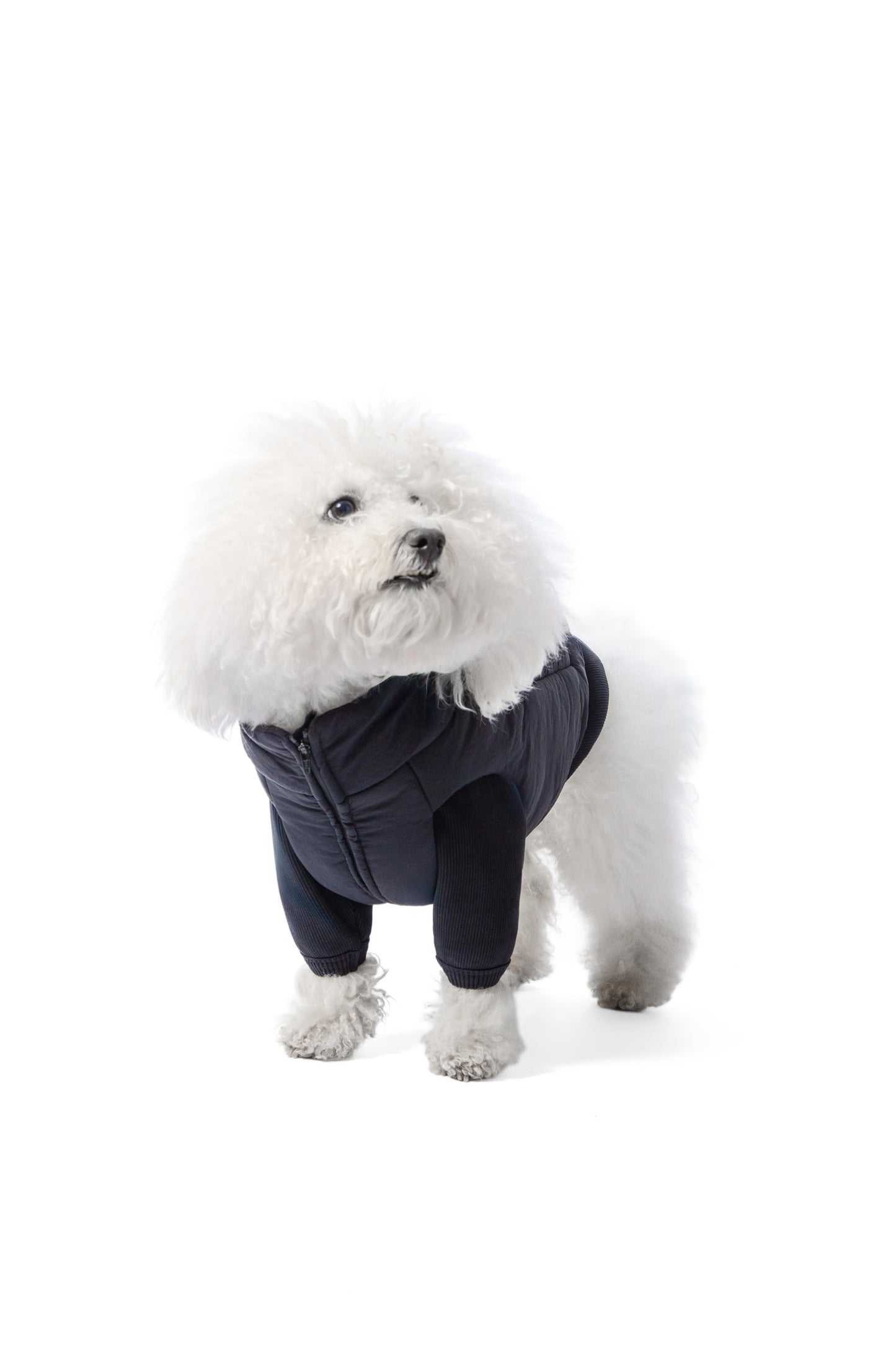 Doudoune sans manches