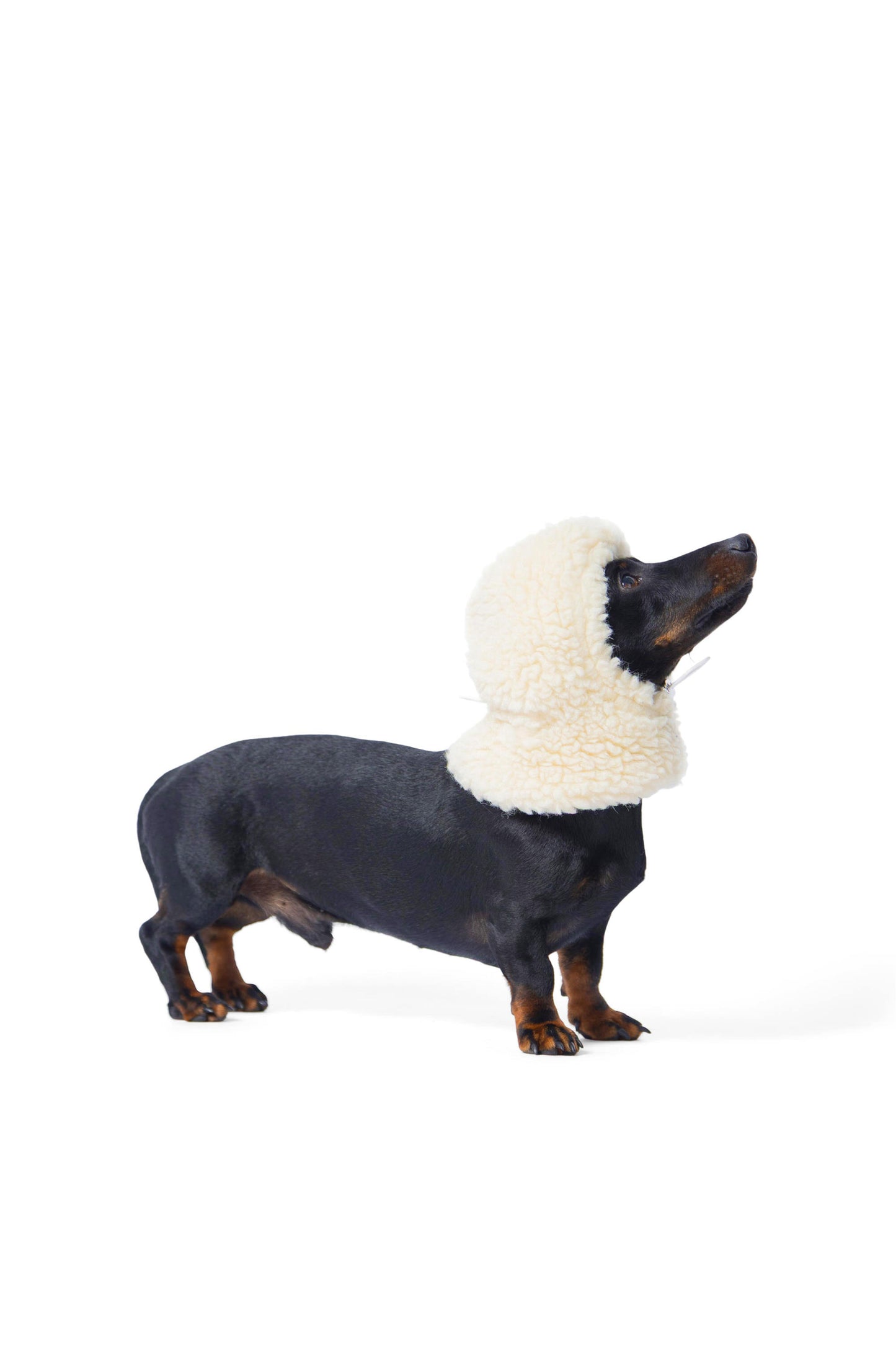 Cagoule en laine bouclée