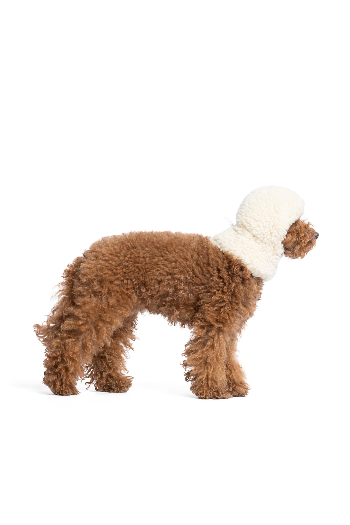 Cagoule en laine bouclée