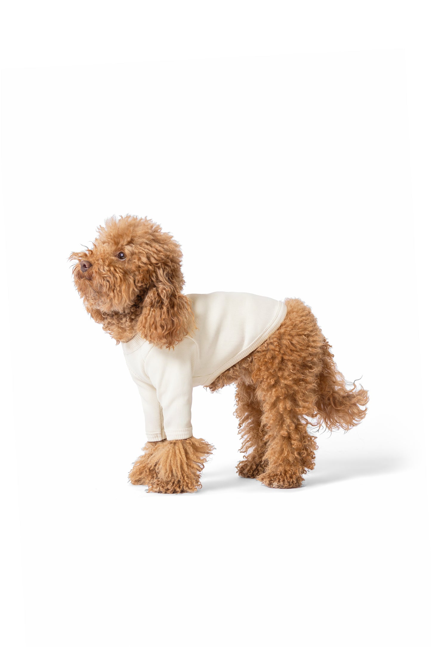 Coffret Layering d’Hiver