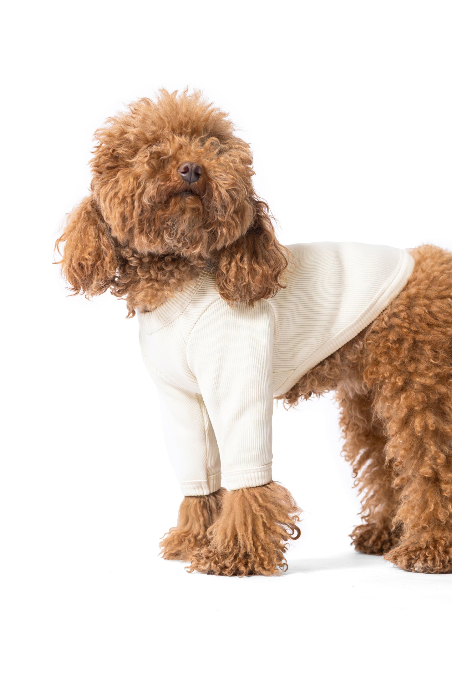 T-shirt manches longues