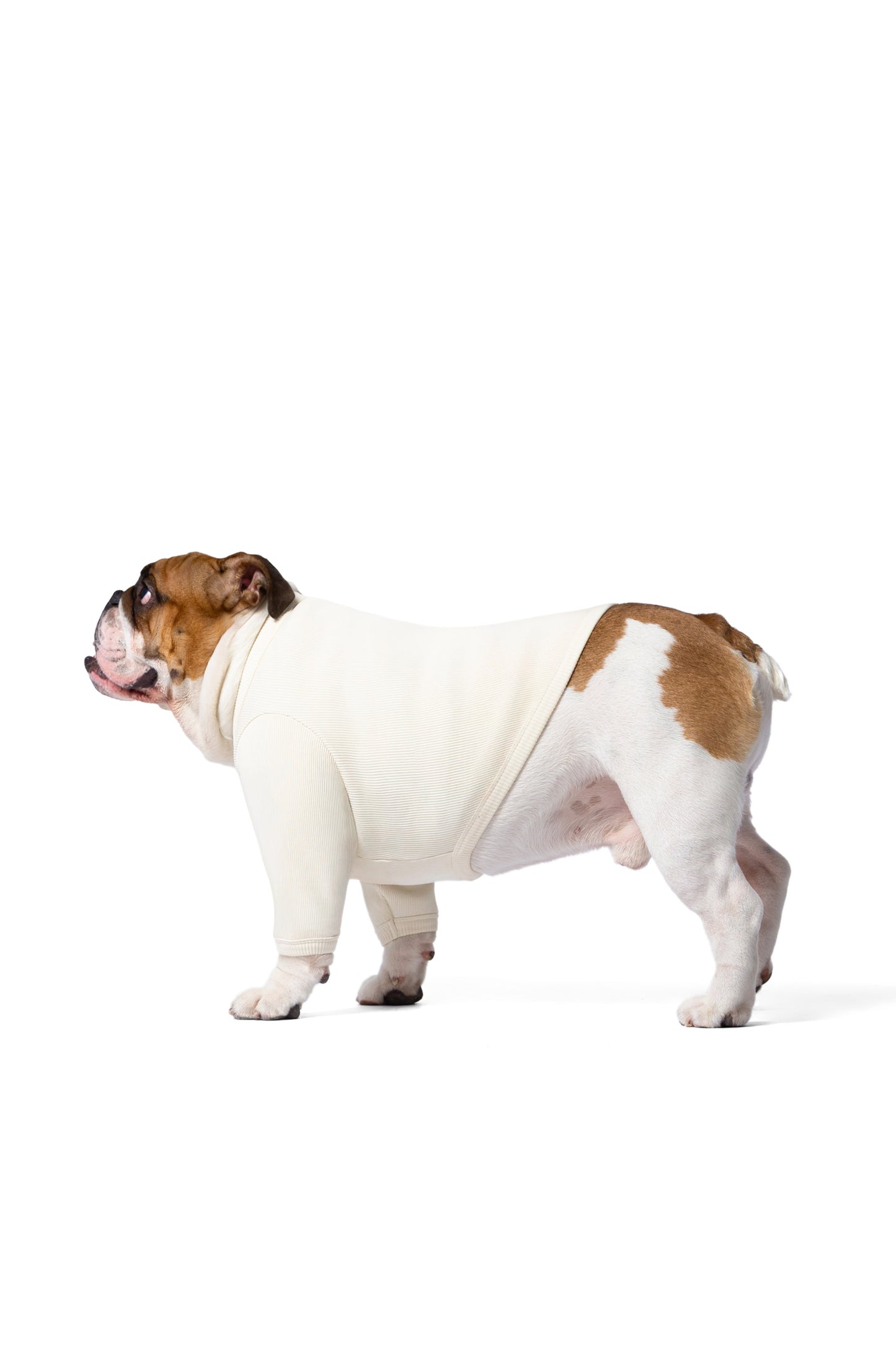 T-shirt manches longues