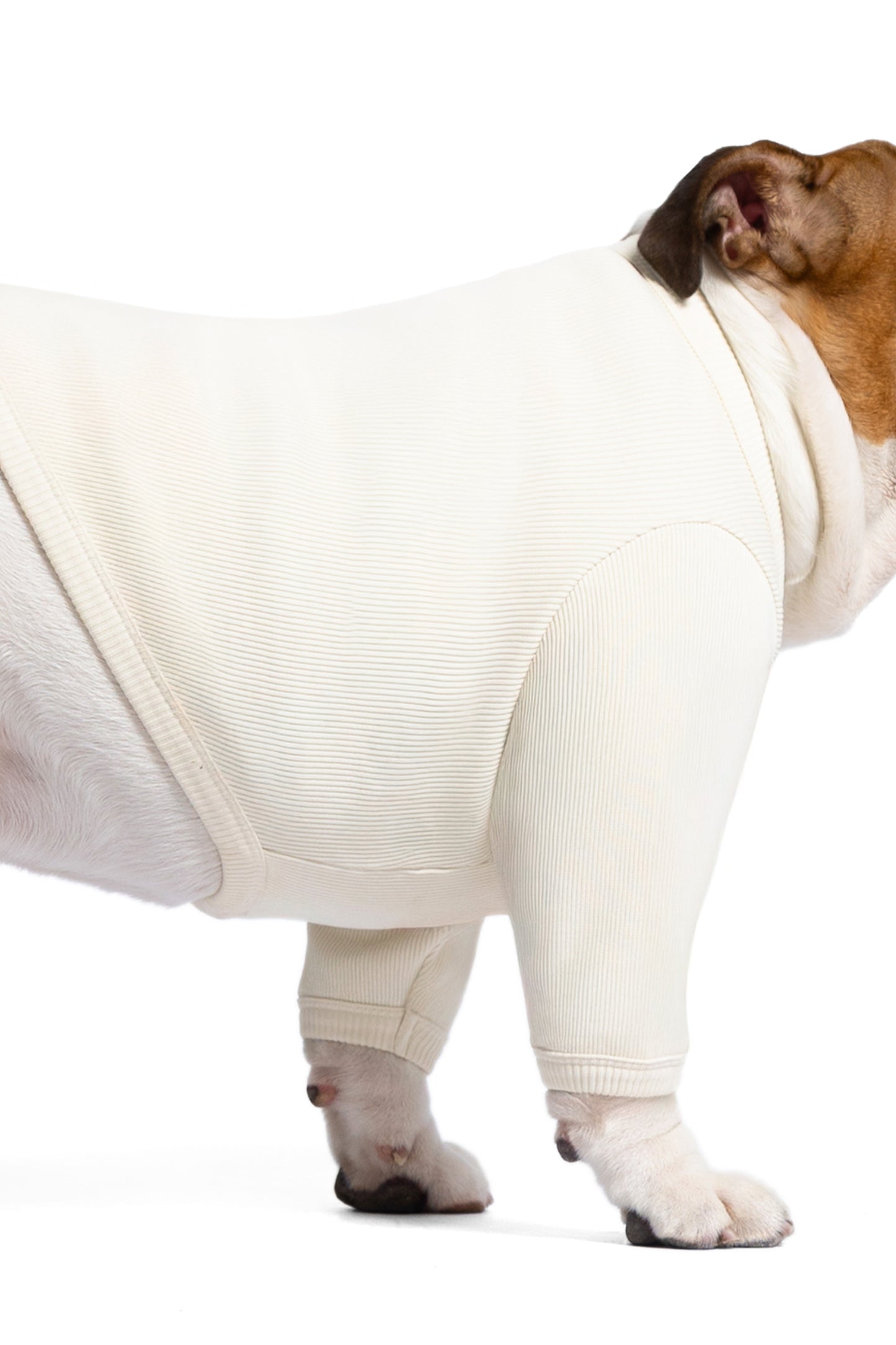 T-shirt manches longues