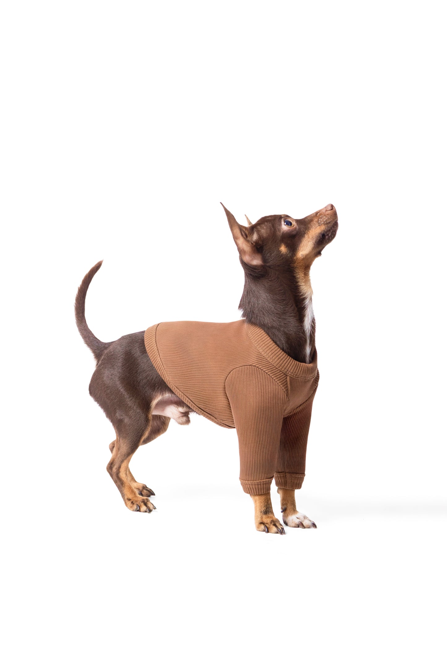 T-shirt manches longues