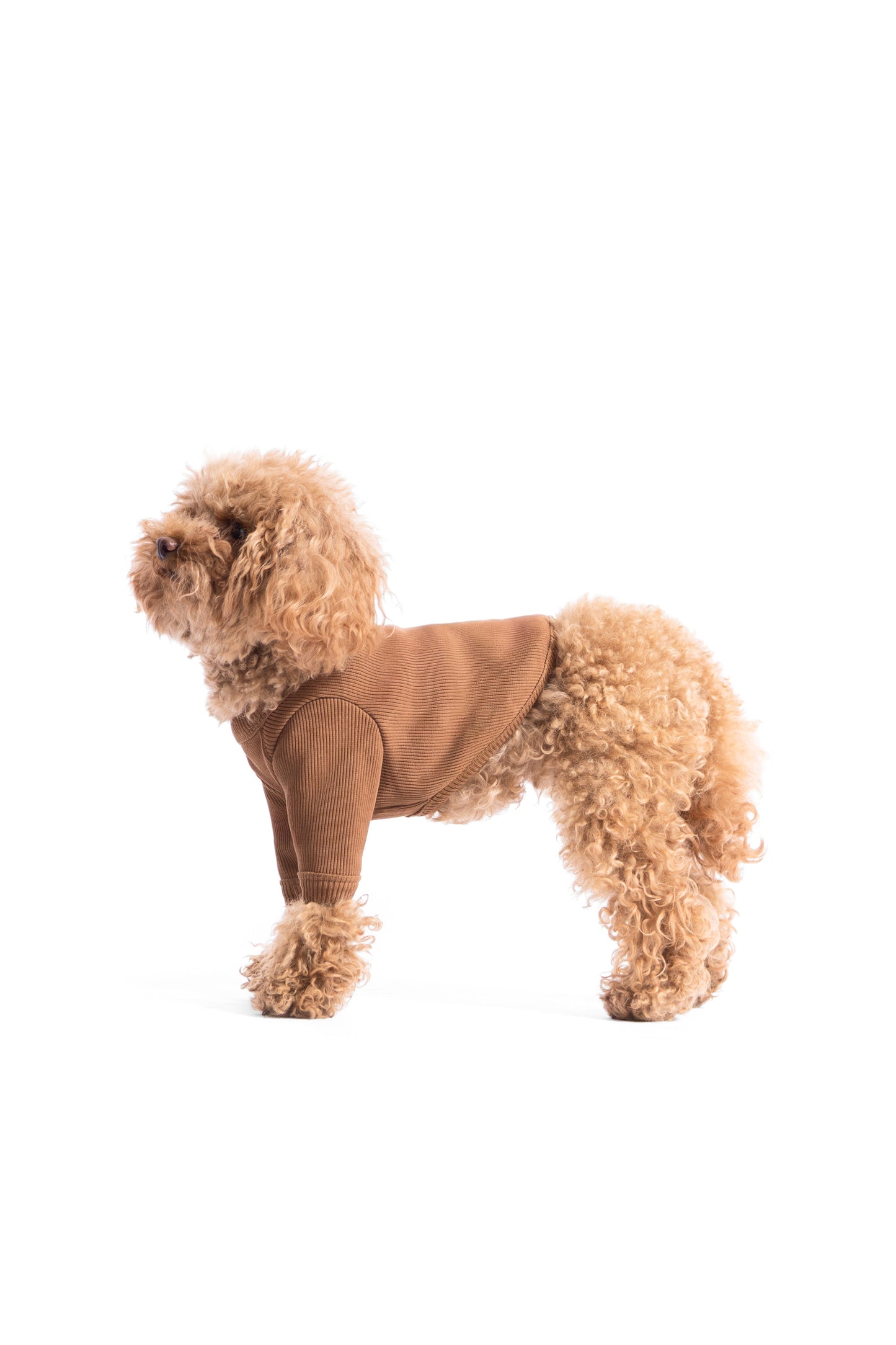 T-shirt manches longues