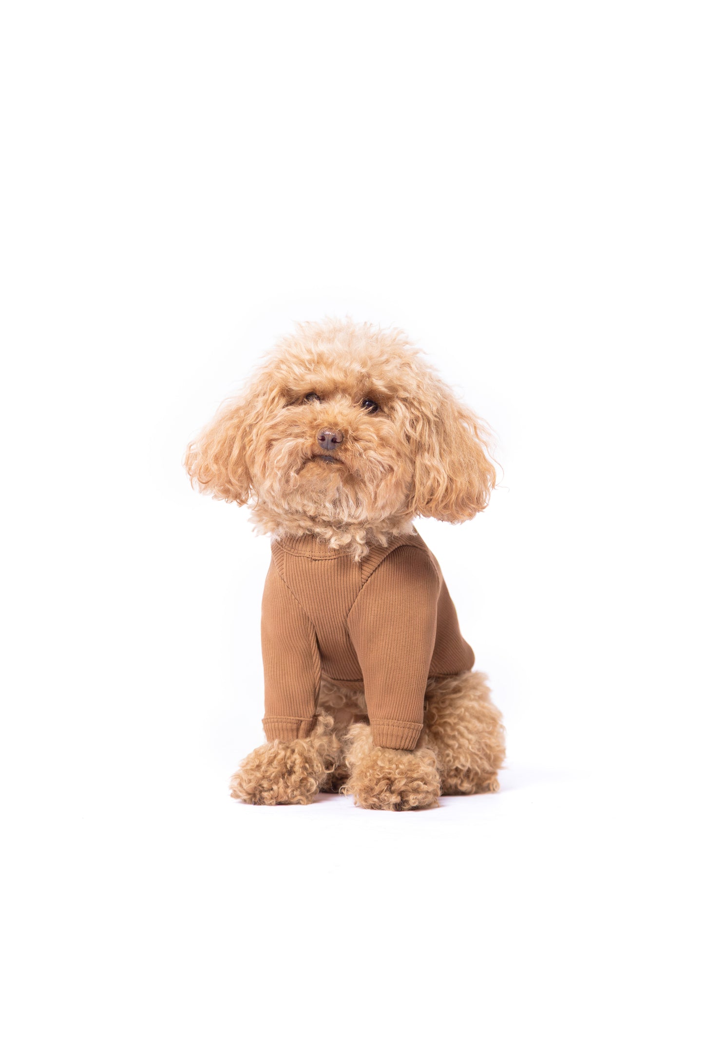 T-shirt manches longues