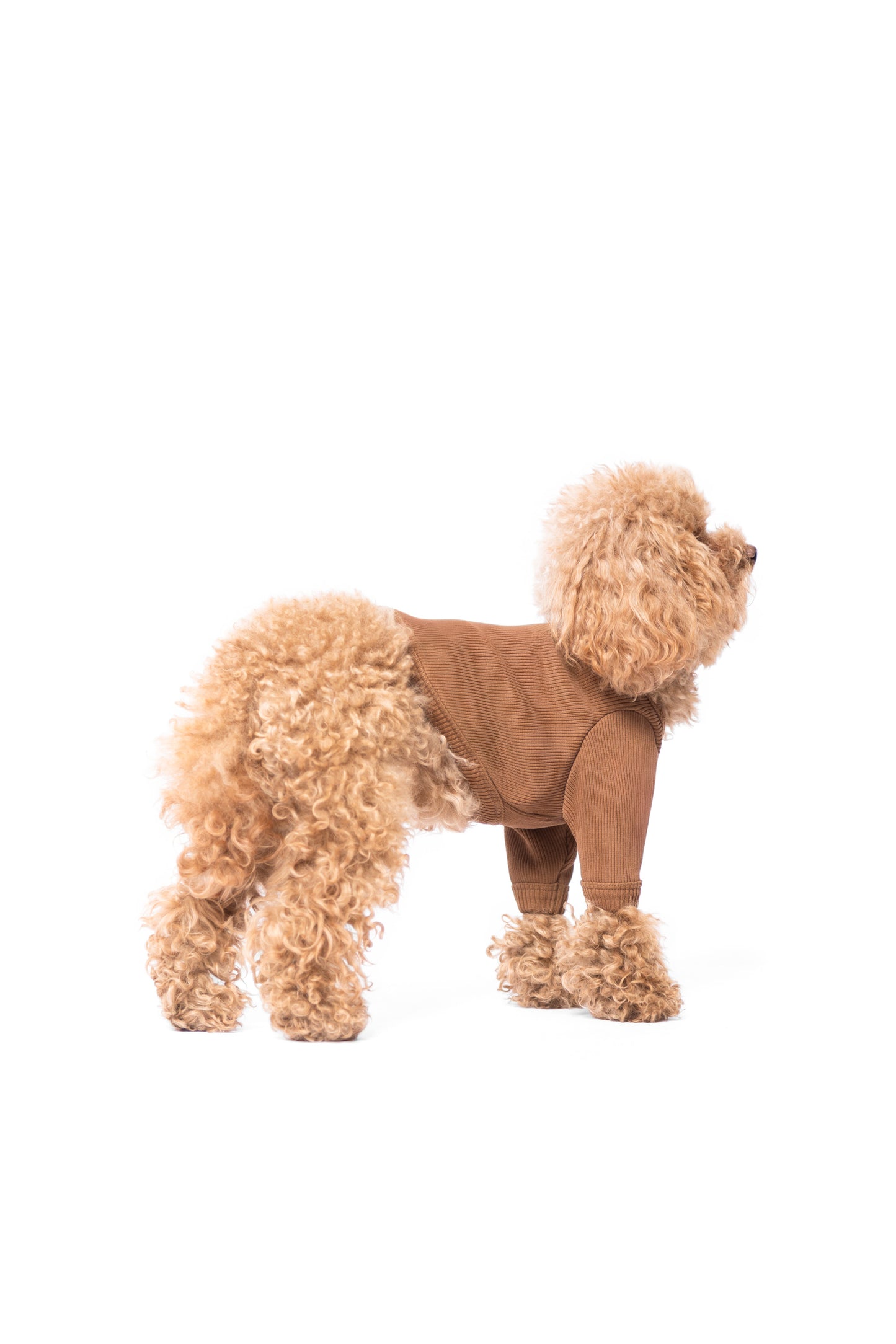 T-shirt manches longues