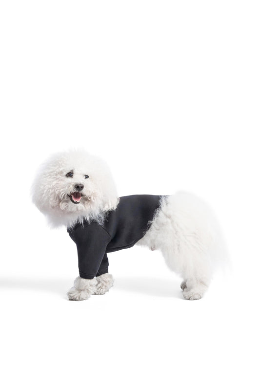 T-shirt manches longues