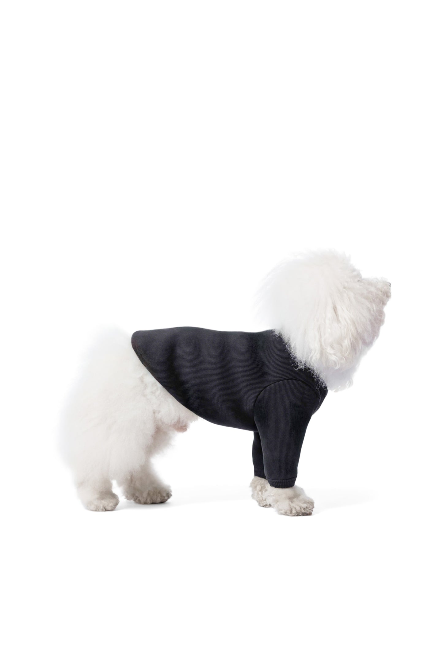 T-shirt manches longues