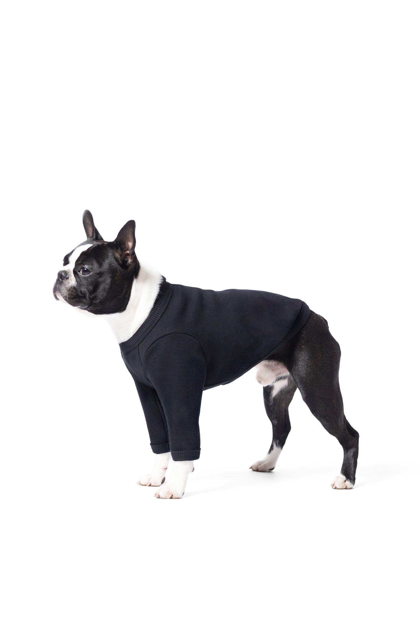 T-shirt manches longues