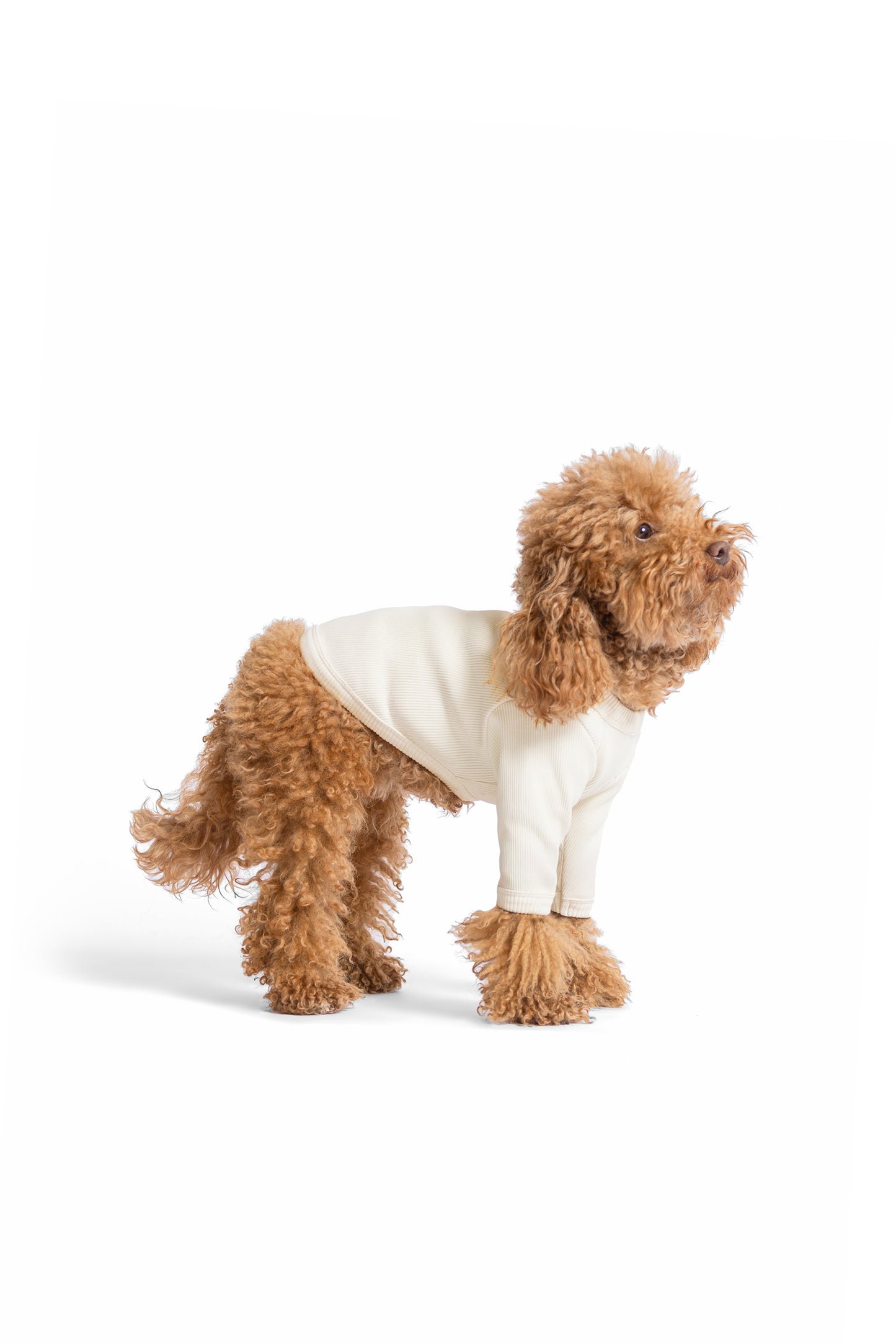 T-shirt manches longues