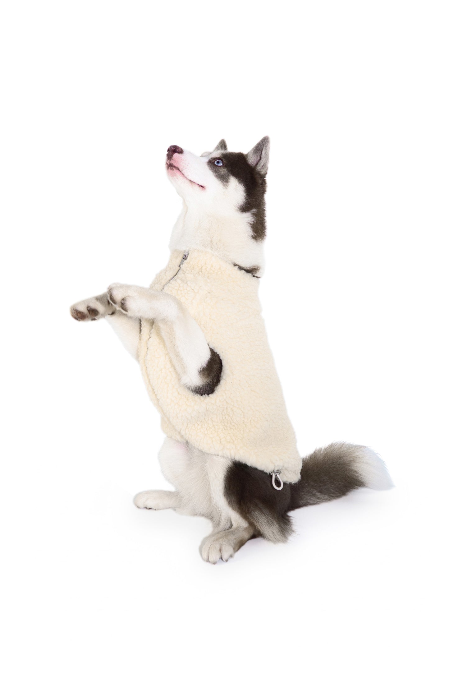 Veste en laine bouclée