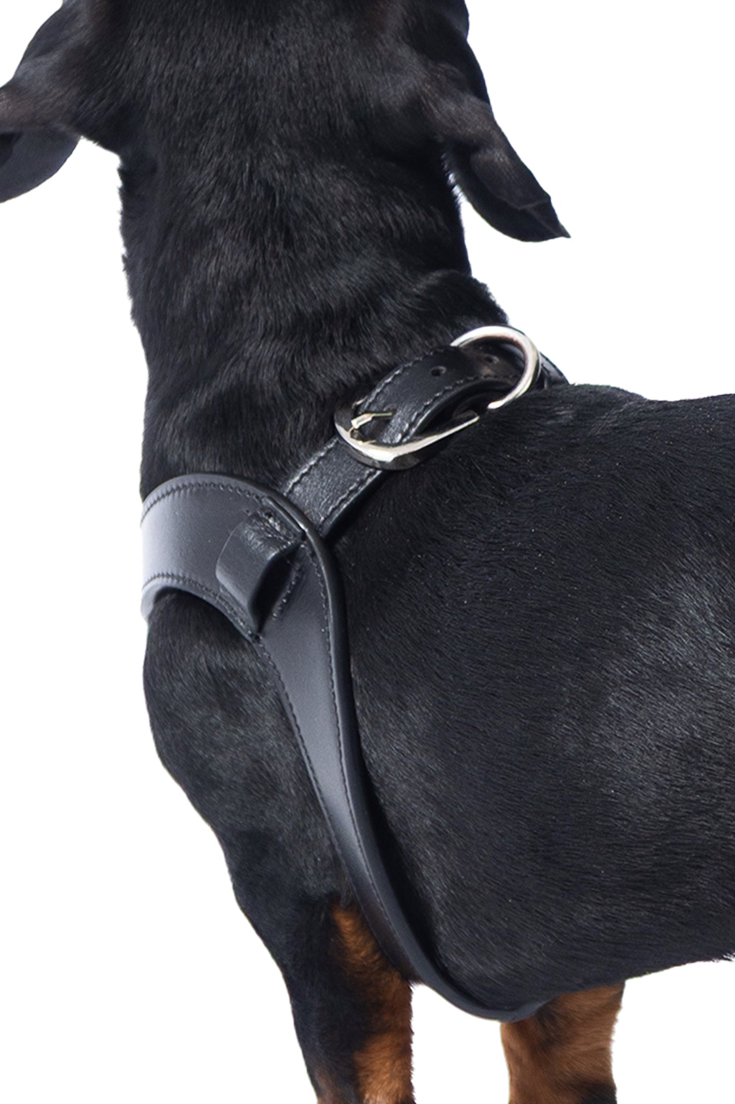 Coffret maroquinerie