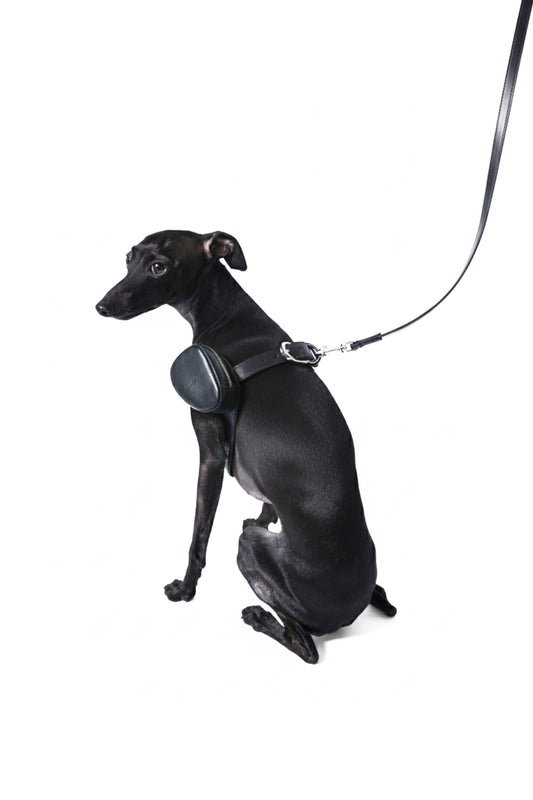 Coffret maroquinerie